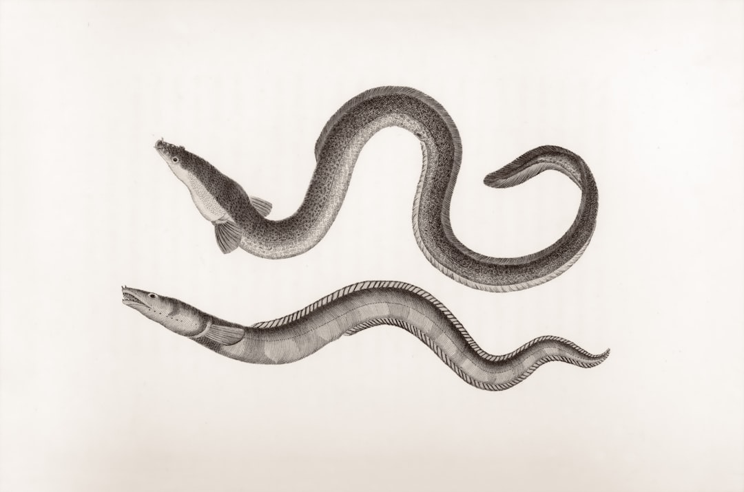 Rüyada Yılan Görmek Ne Anlama Gelir? Detaylı Yorumlar ve Renklerin Sırrı